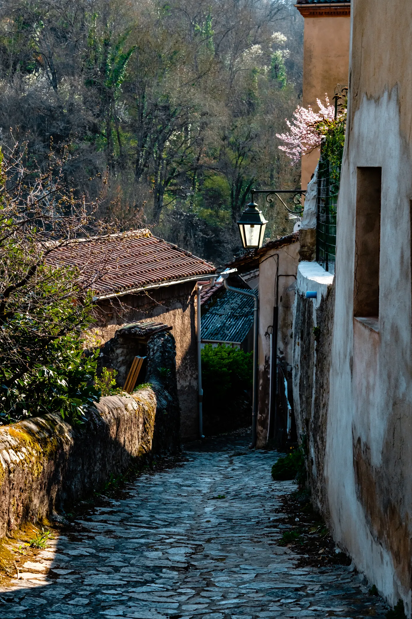 Auvergne and Paris