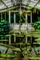 Botanica