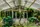 Botanica