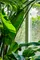 Botanica