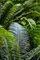 Botanica