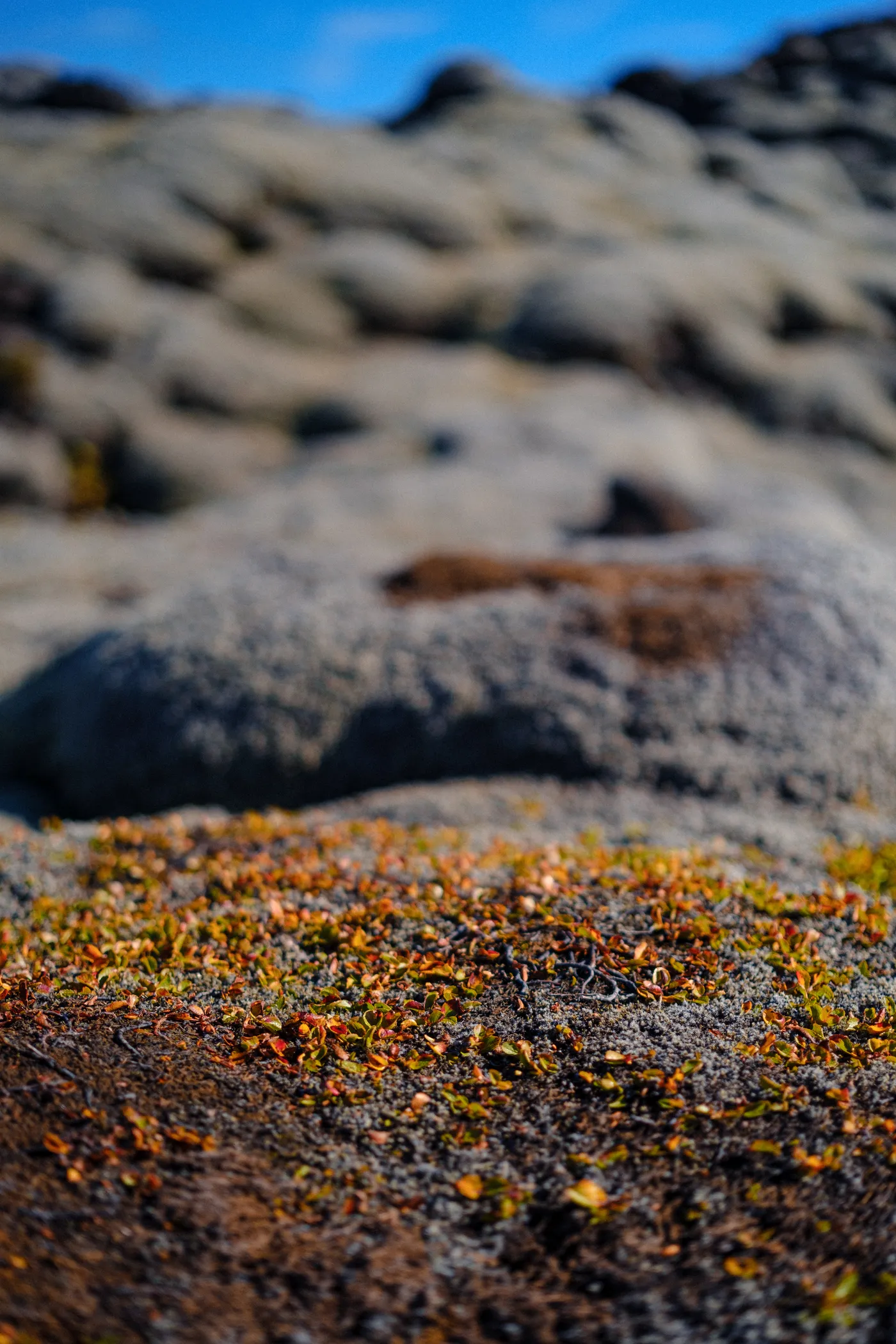 Iceland’s Landscapes