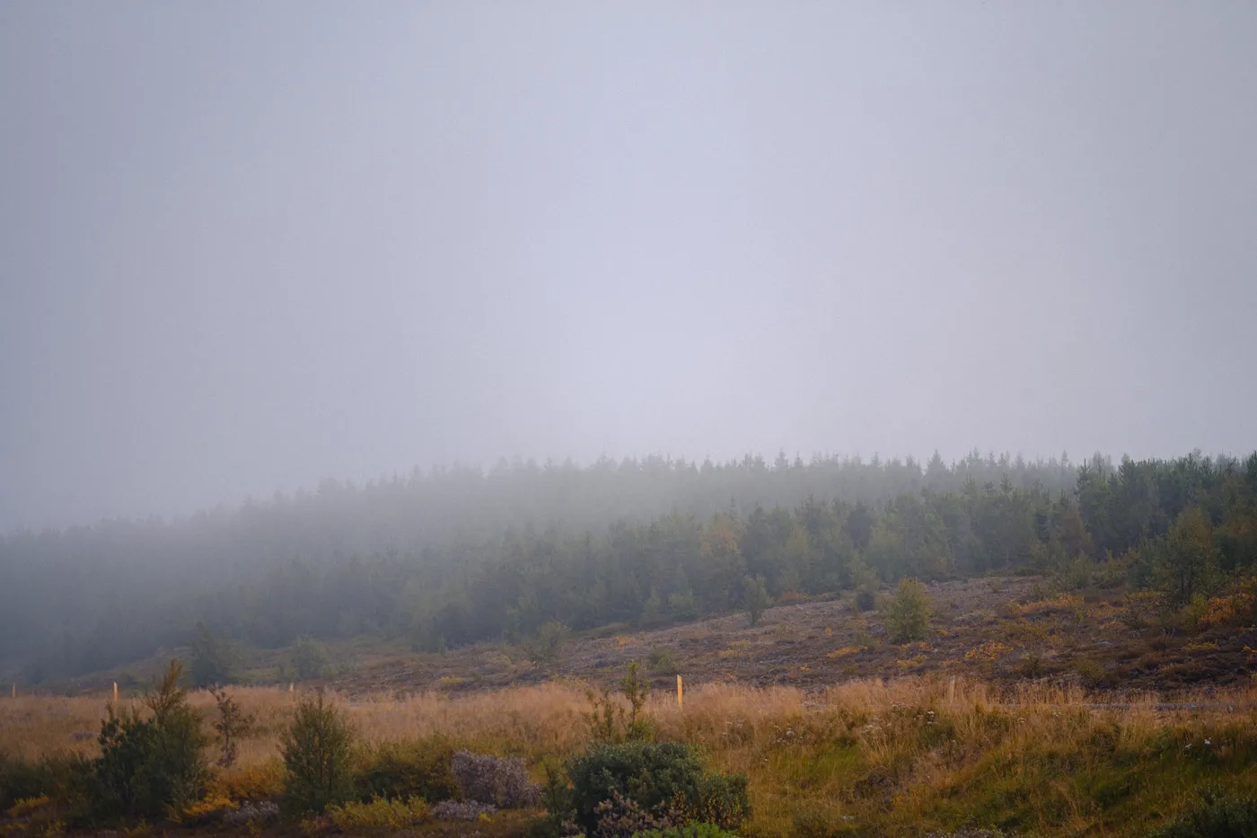 Iceland’s Landscapes