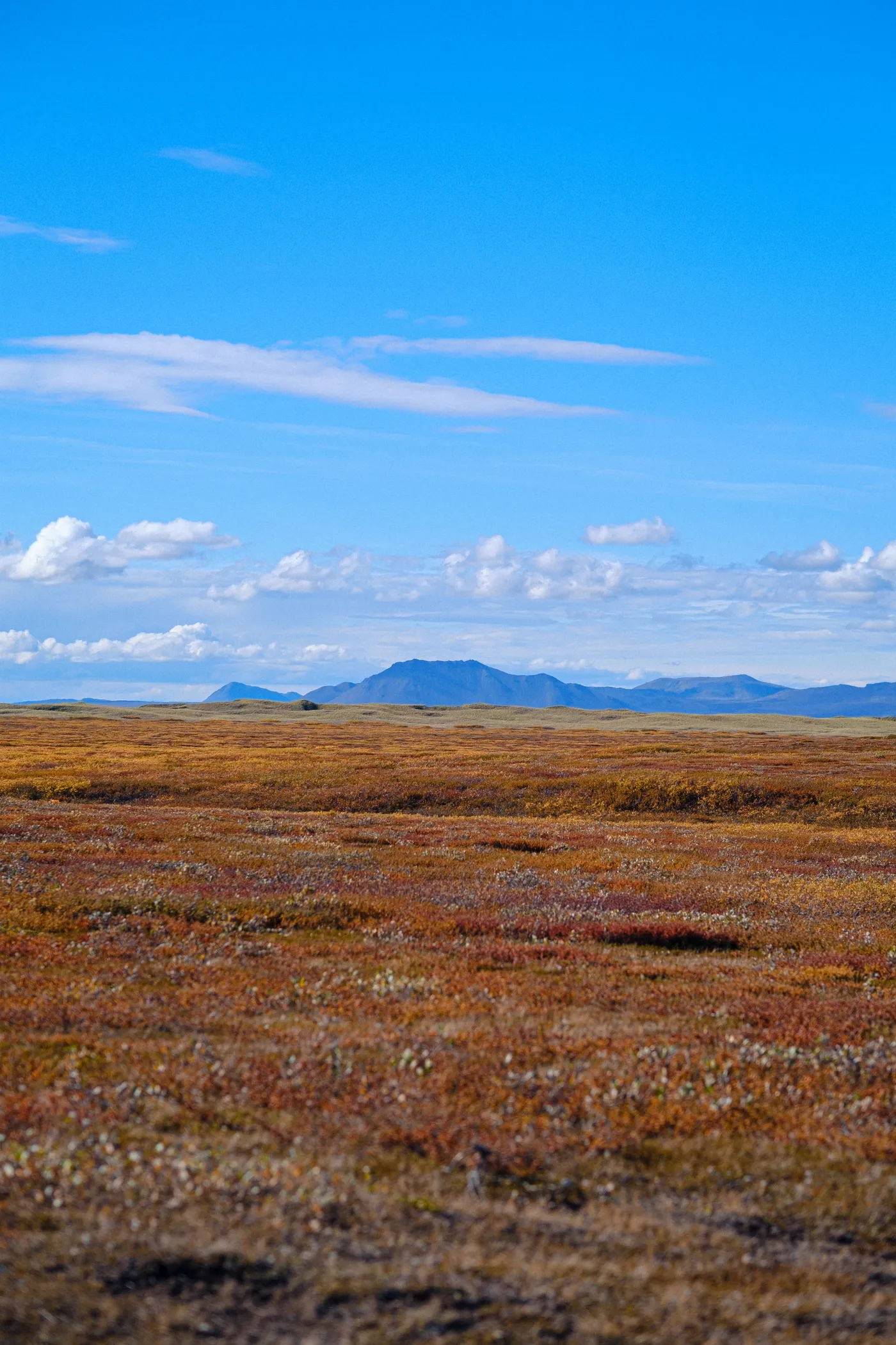 Iceland’s Landscapes