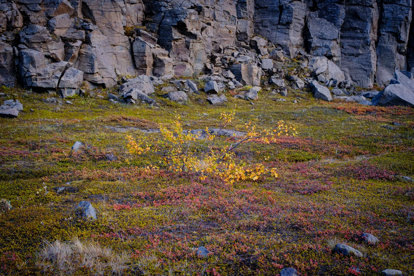 Iceland’s Landscapes