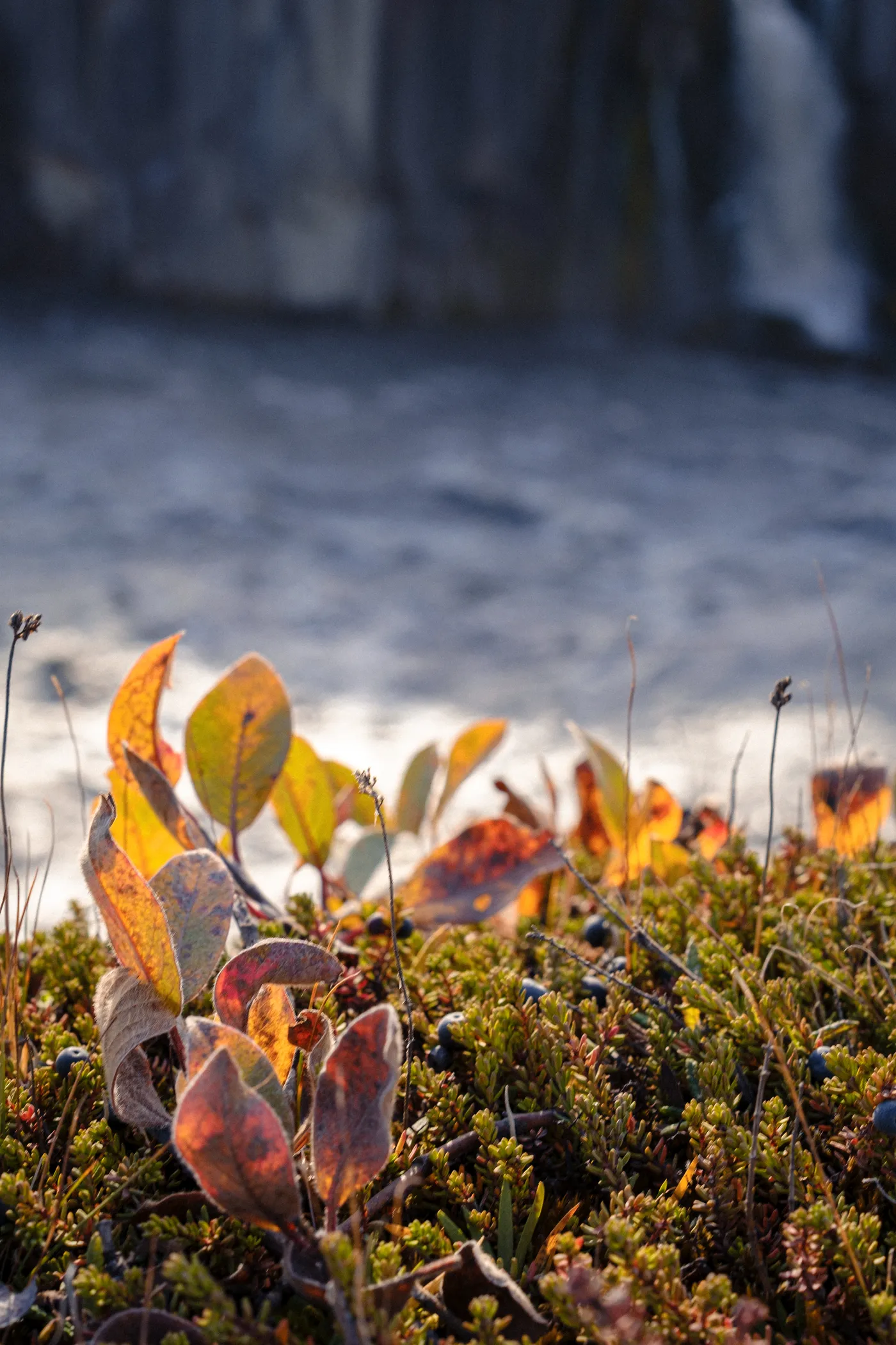 Iceland’s Landscapes