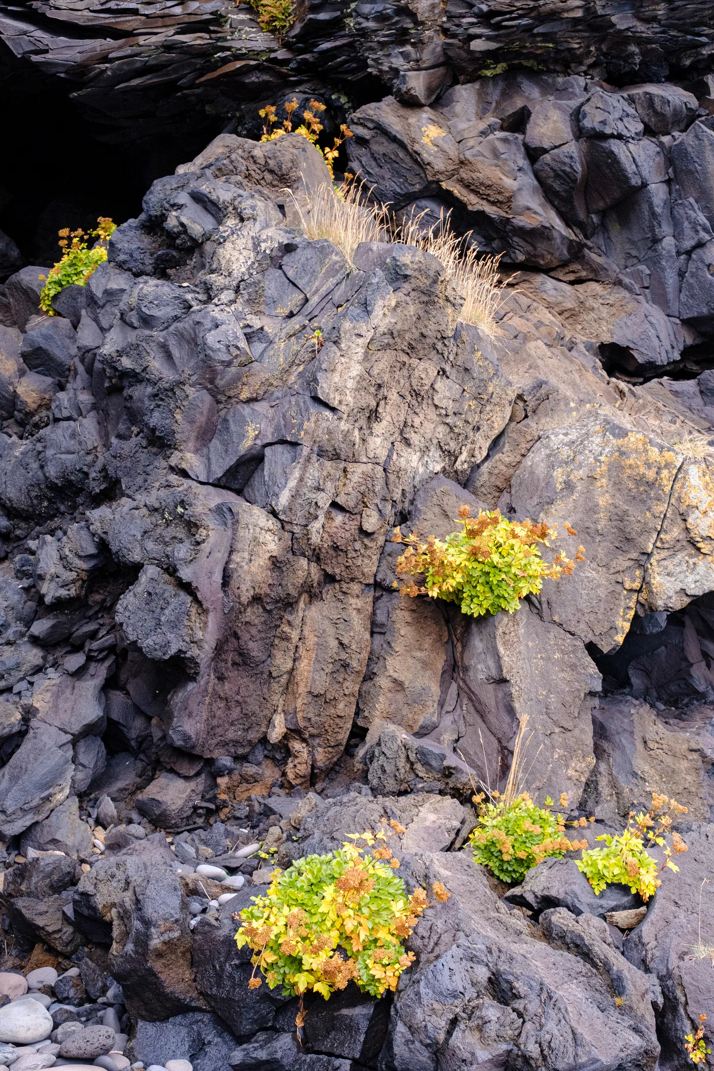 Iceland’s Landscapes