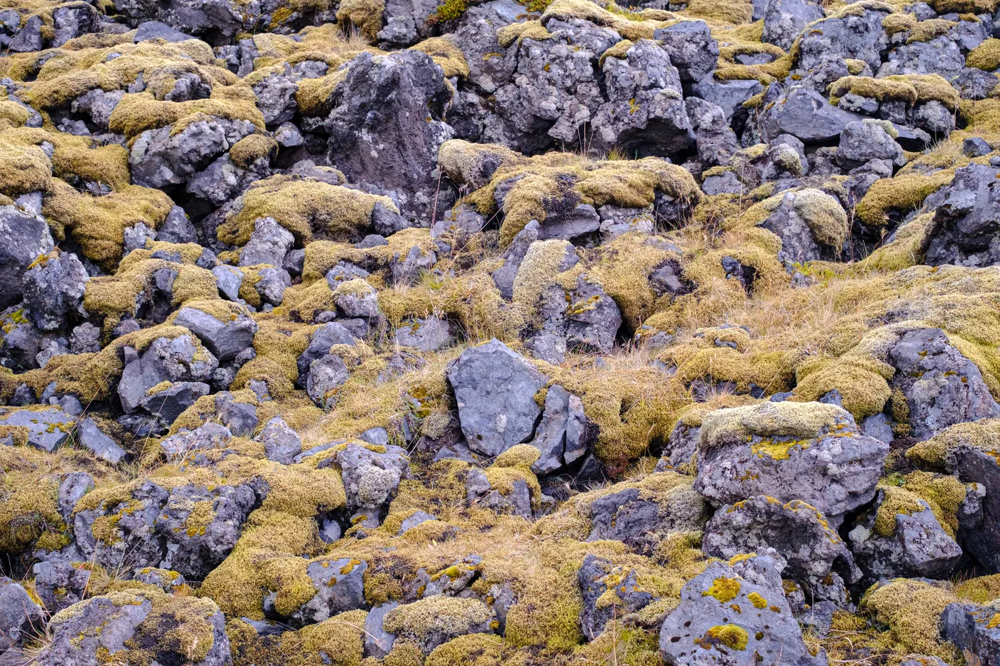 Iceland’s Landscapes