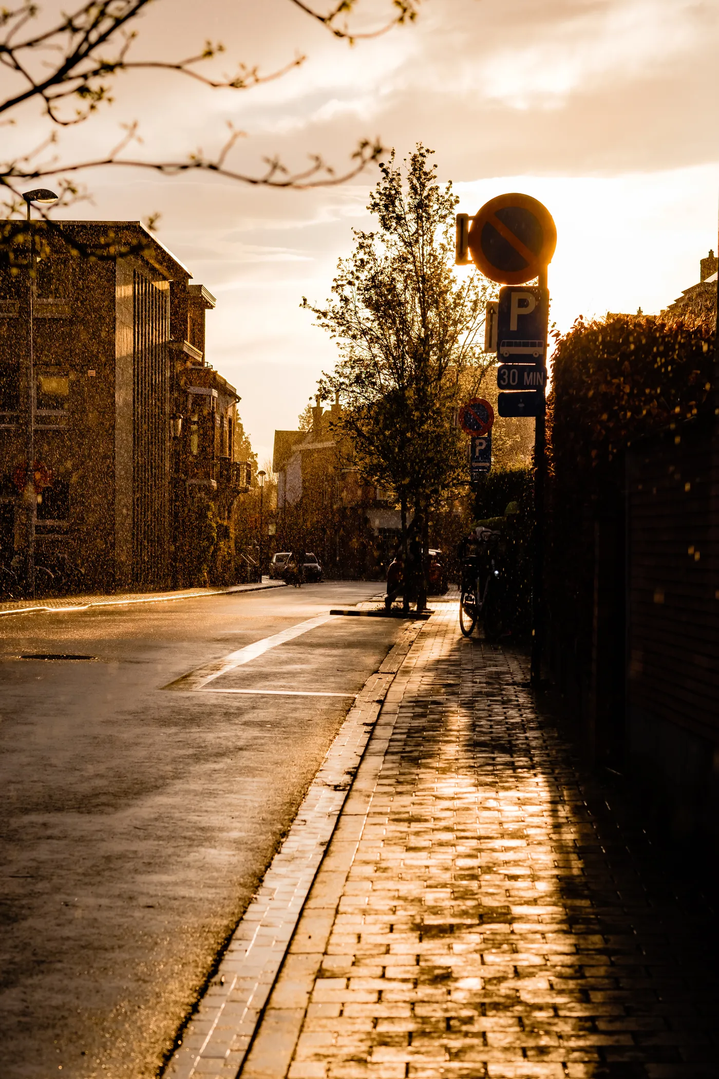 Leuven 4 And Brussels