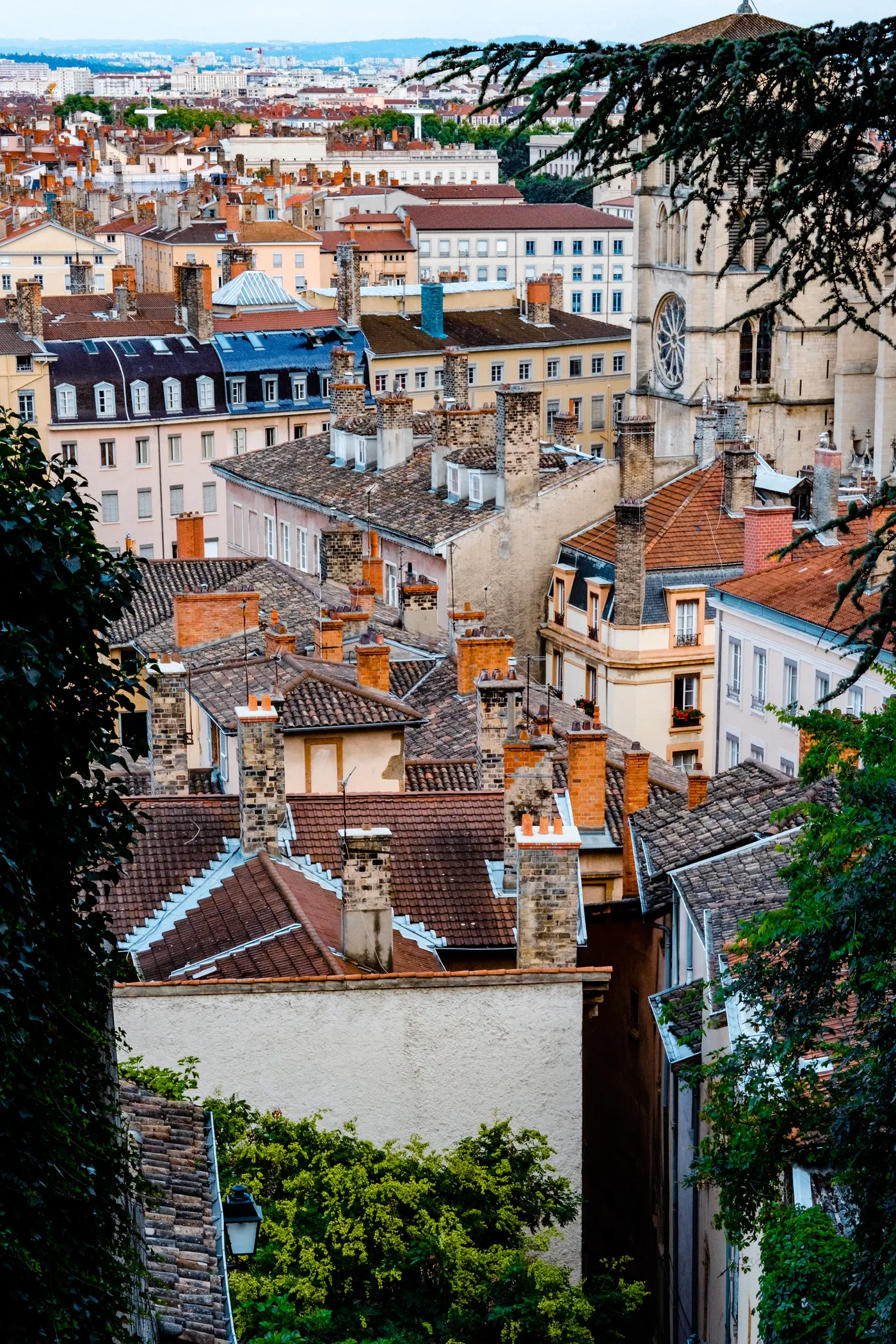 Lyon 2