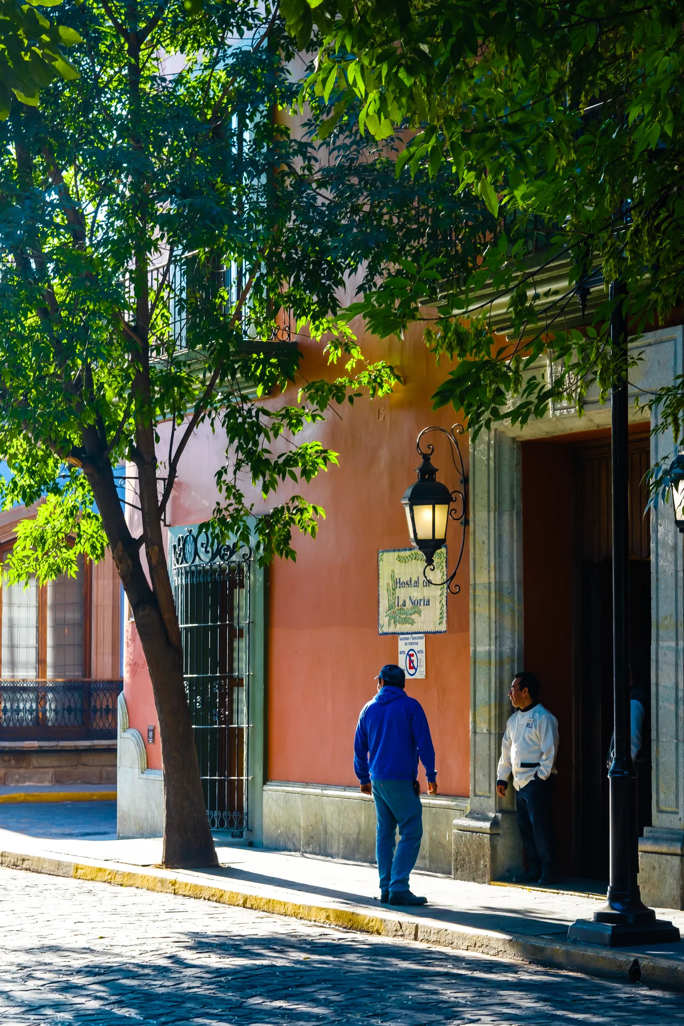 Oaxaca 1