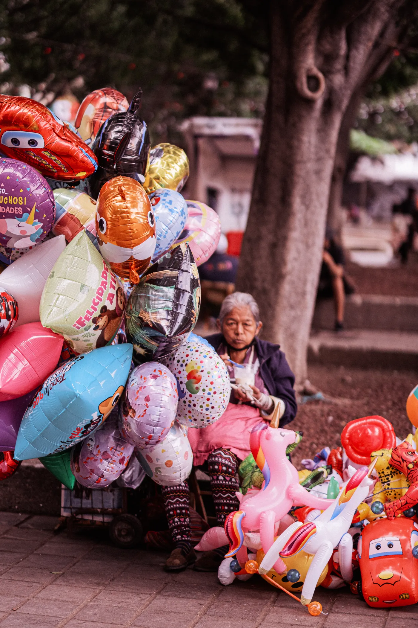 Oaxaca 2