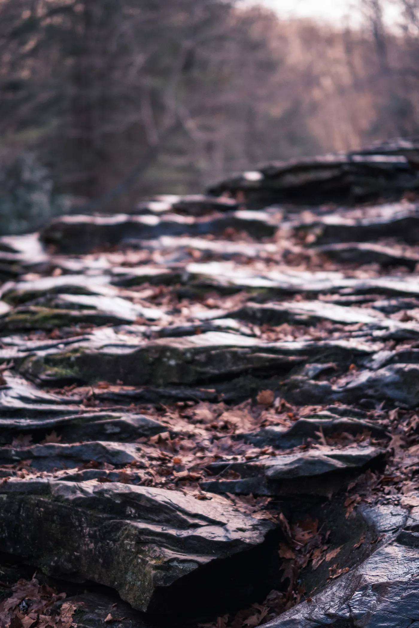 Ohiopyle