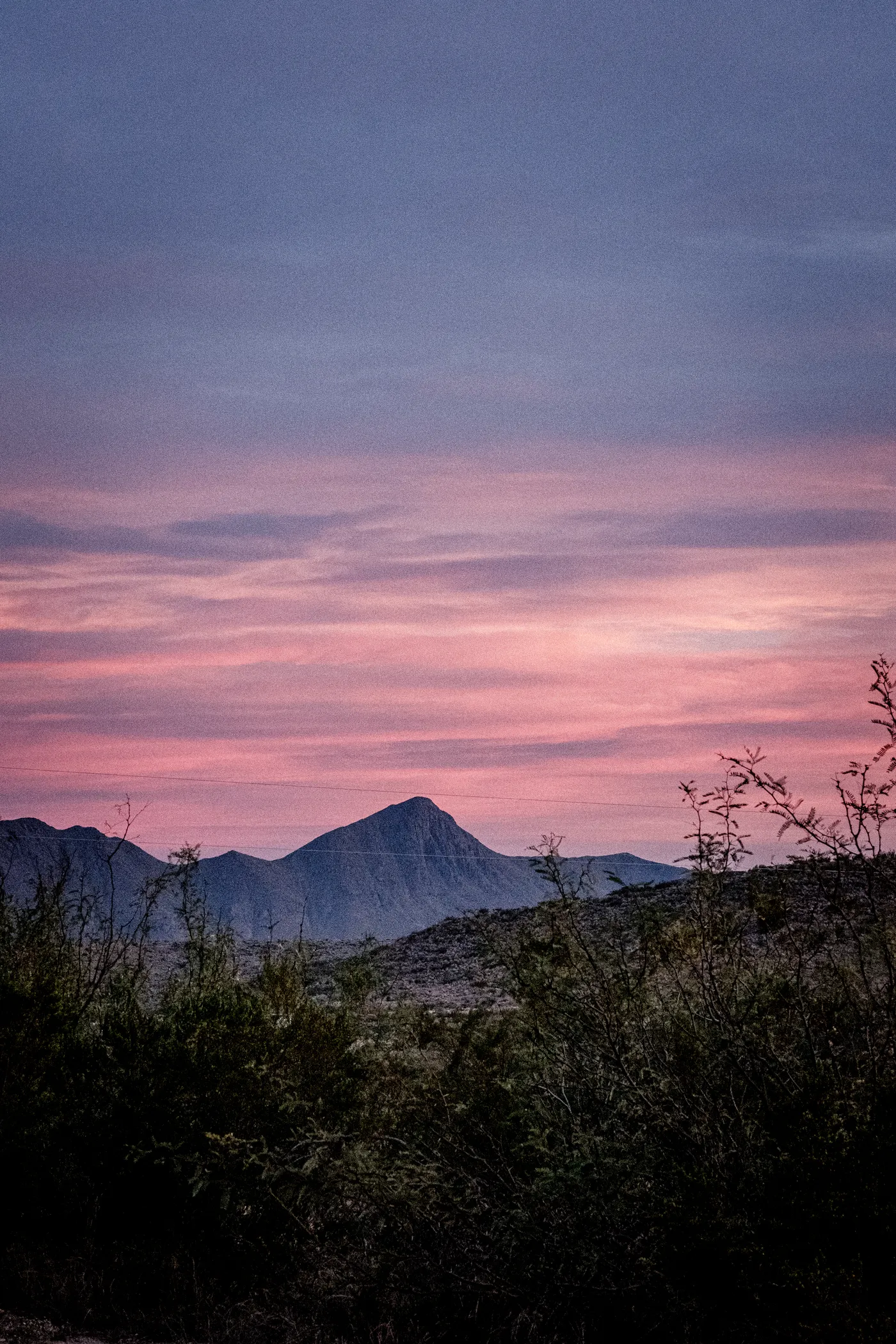 Terlingua