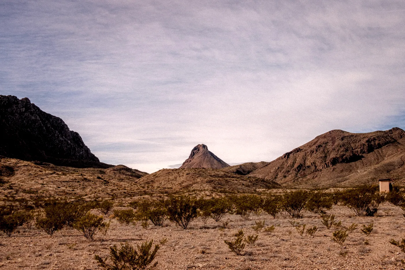 Terlingua