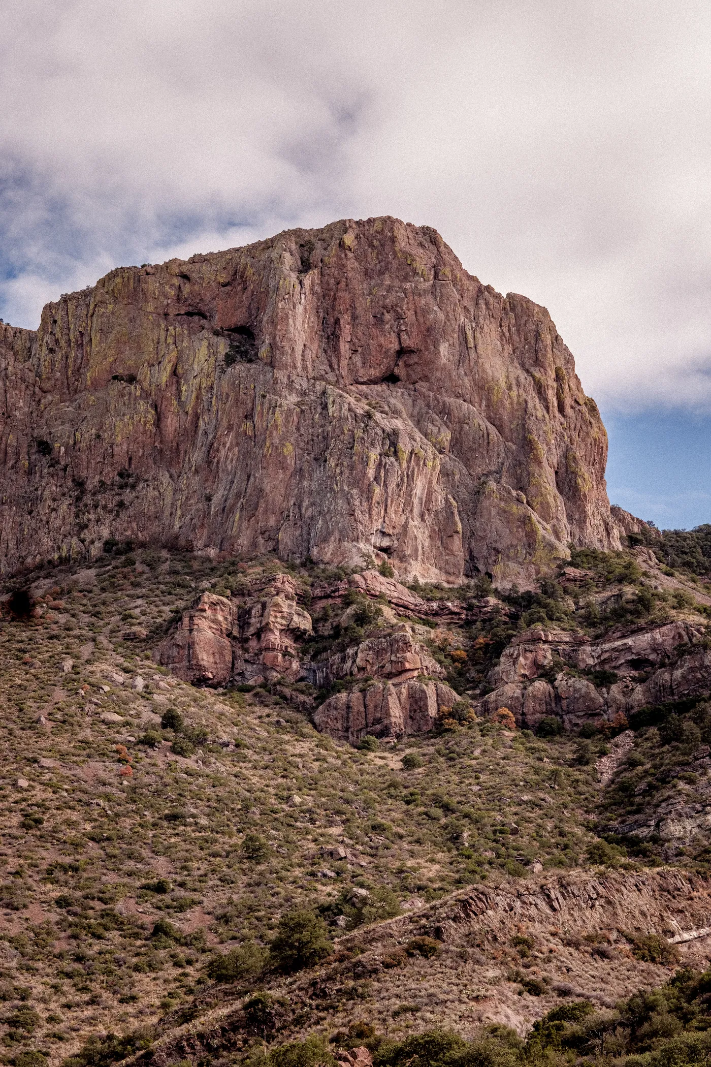 Terlingua