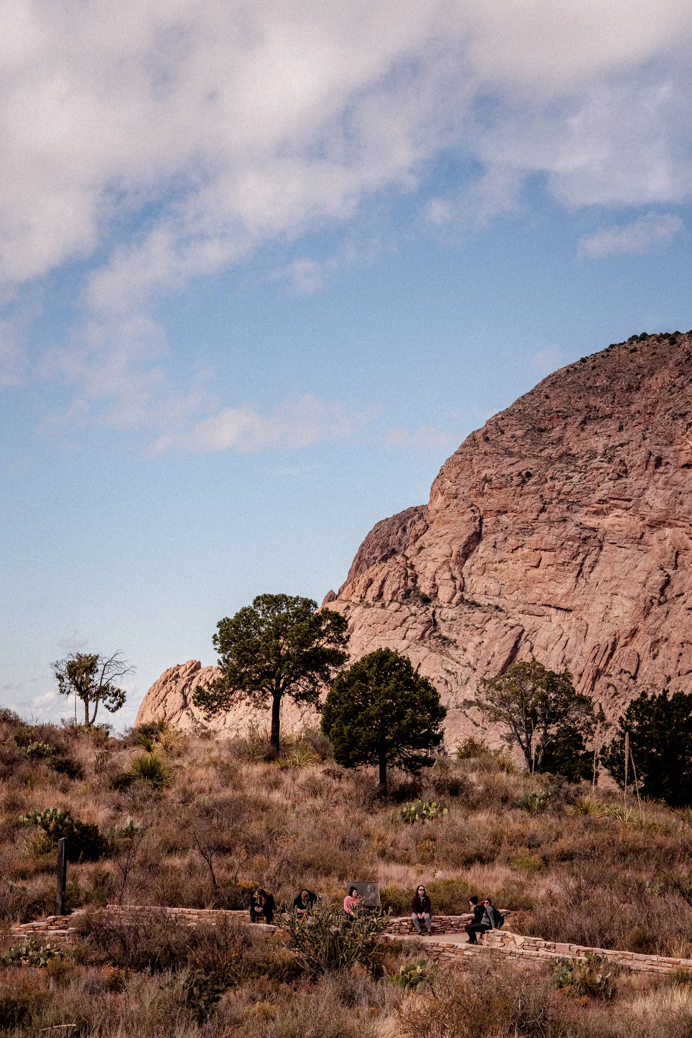 Terlingua