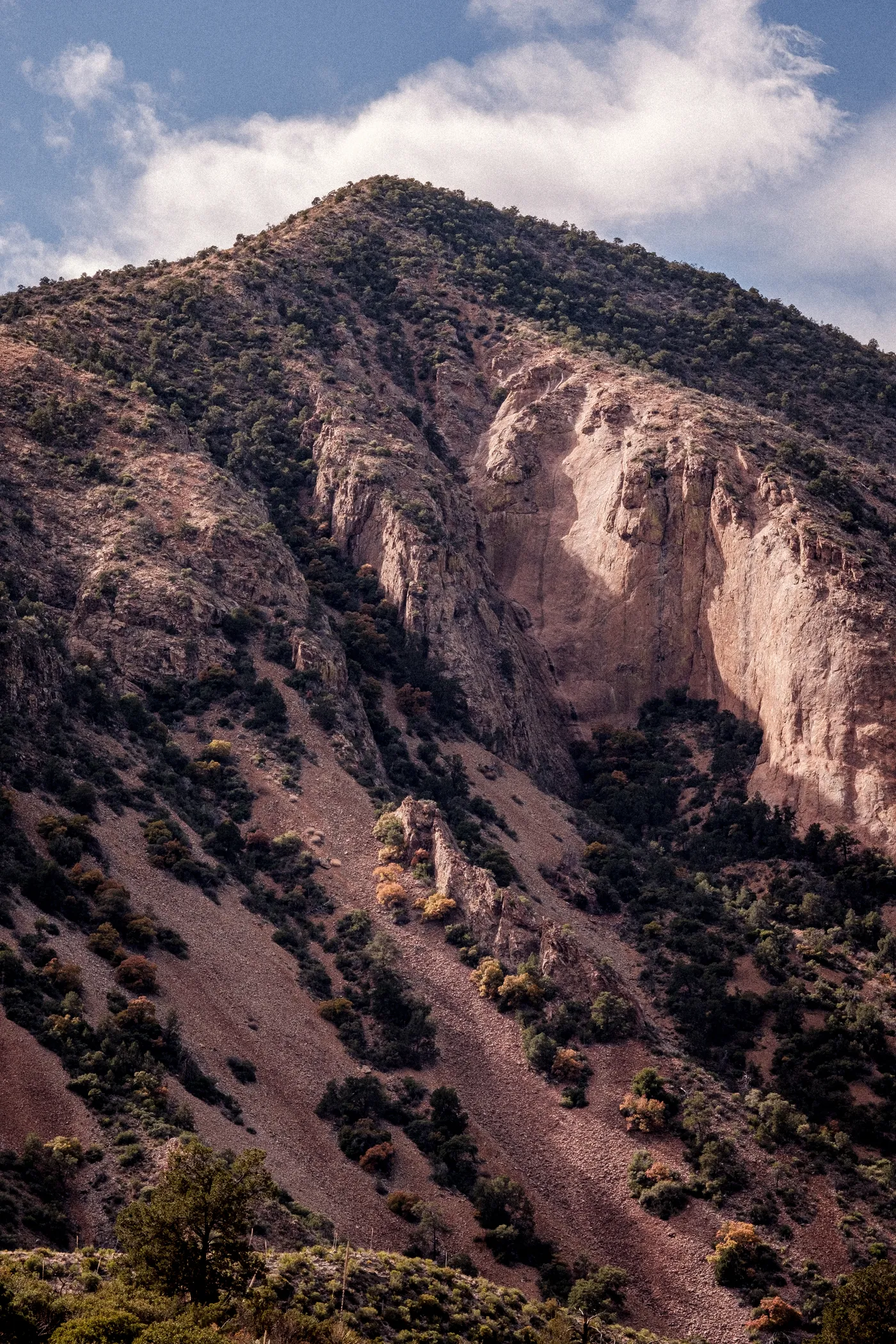 Terlingua