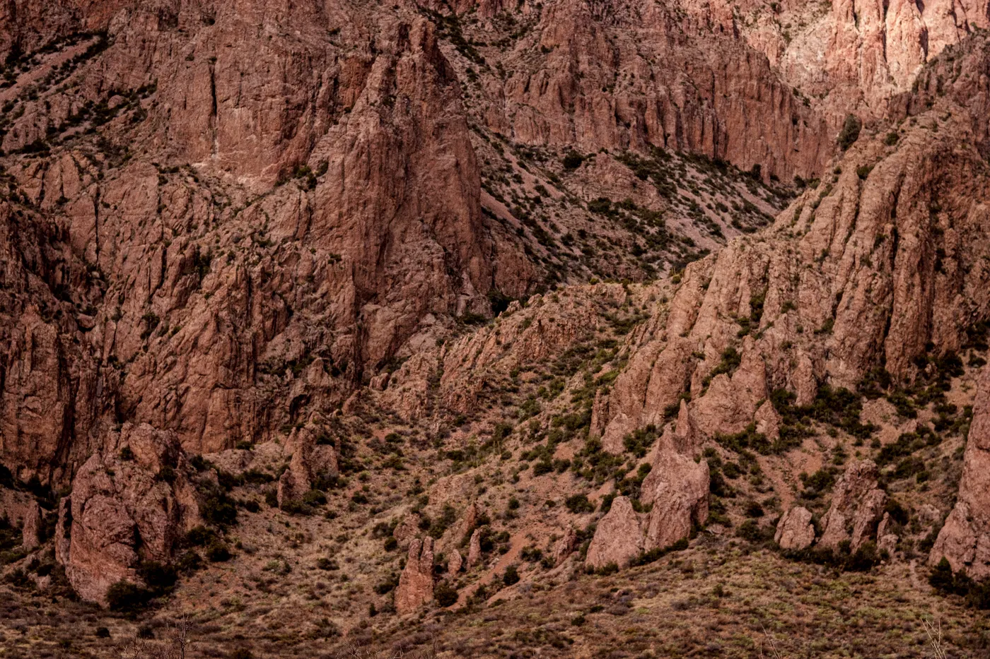 Terlingua