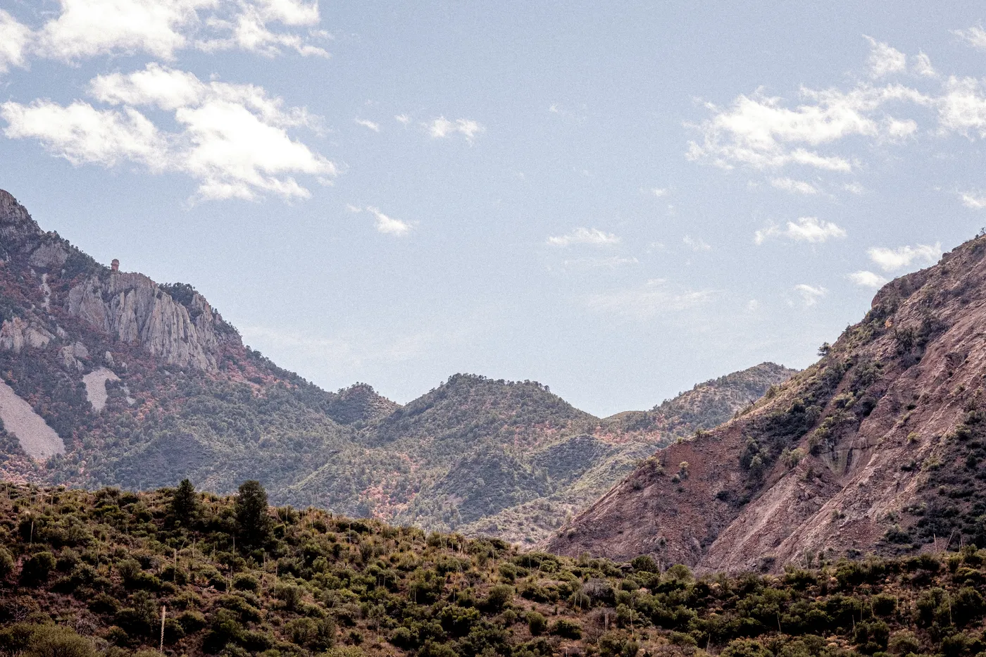 Terlingua