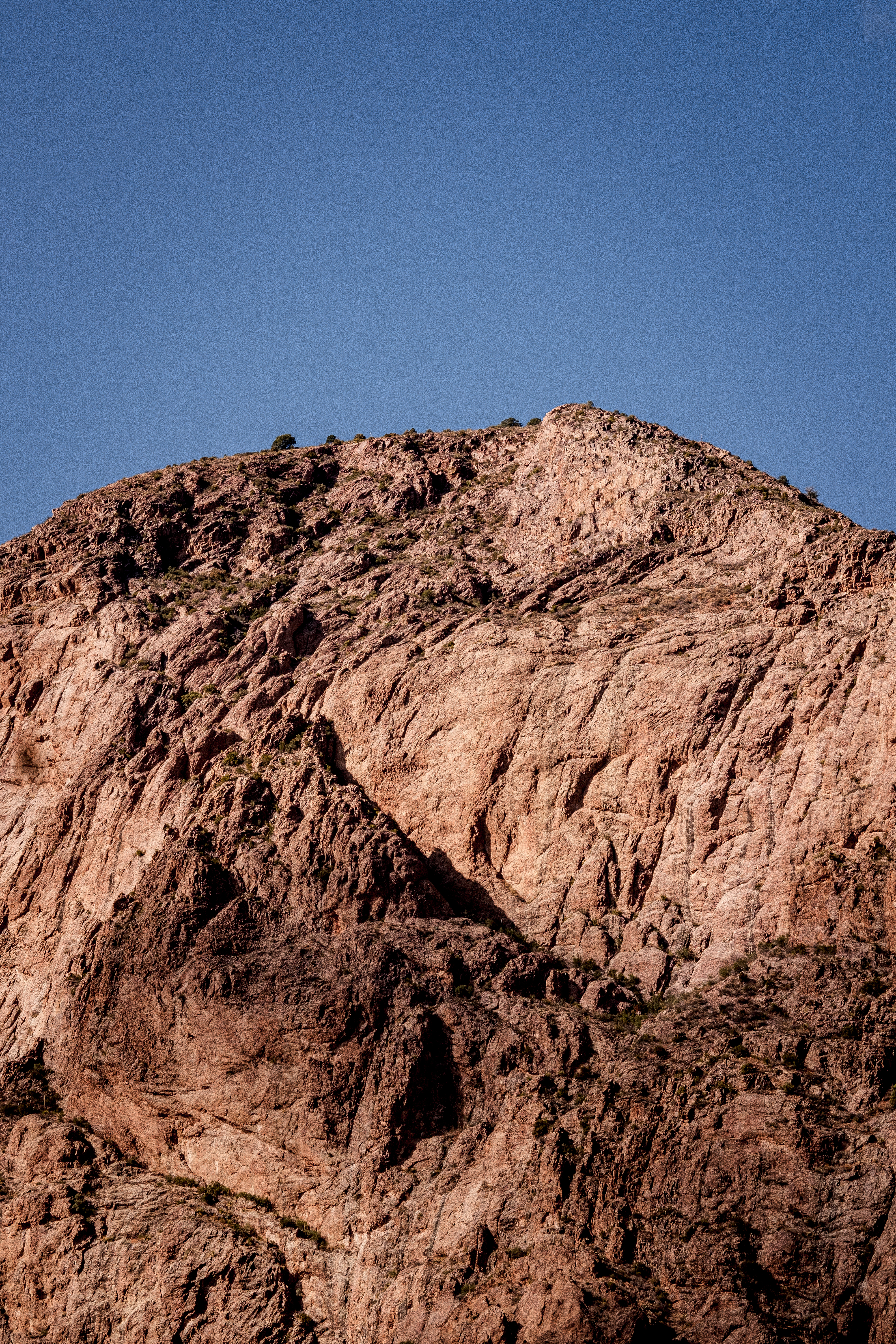 Terlingua