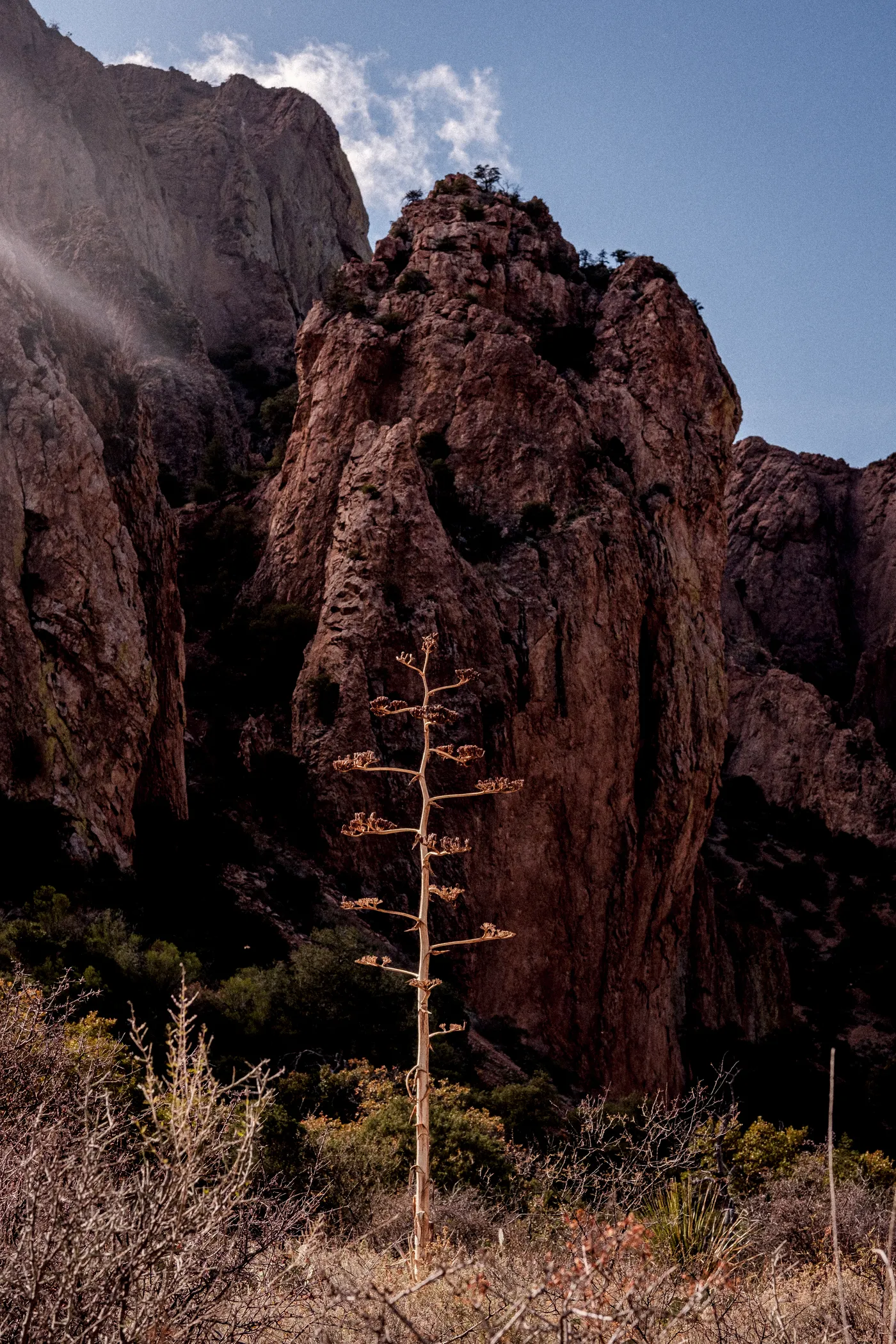 Terlingua