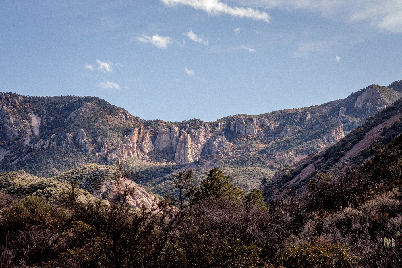 Terlingua