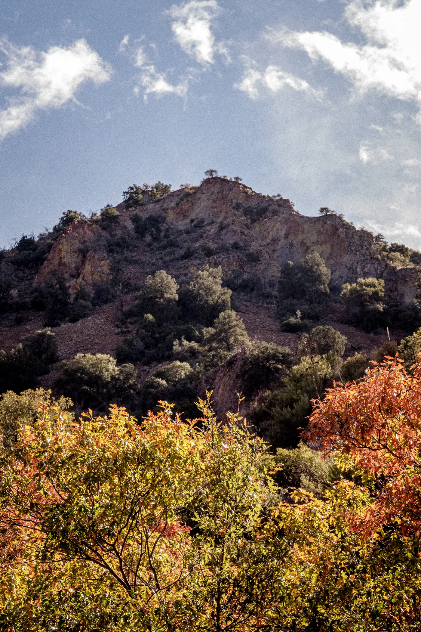 Terlingua