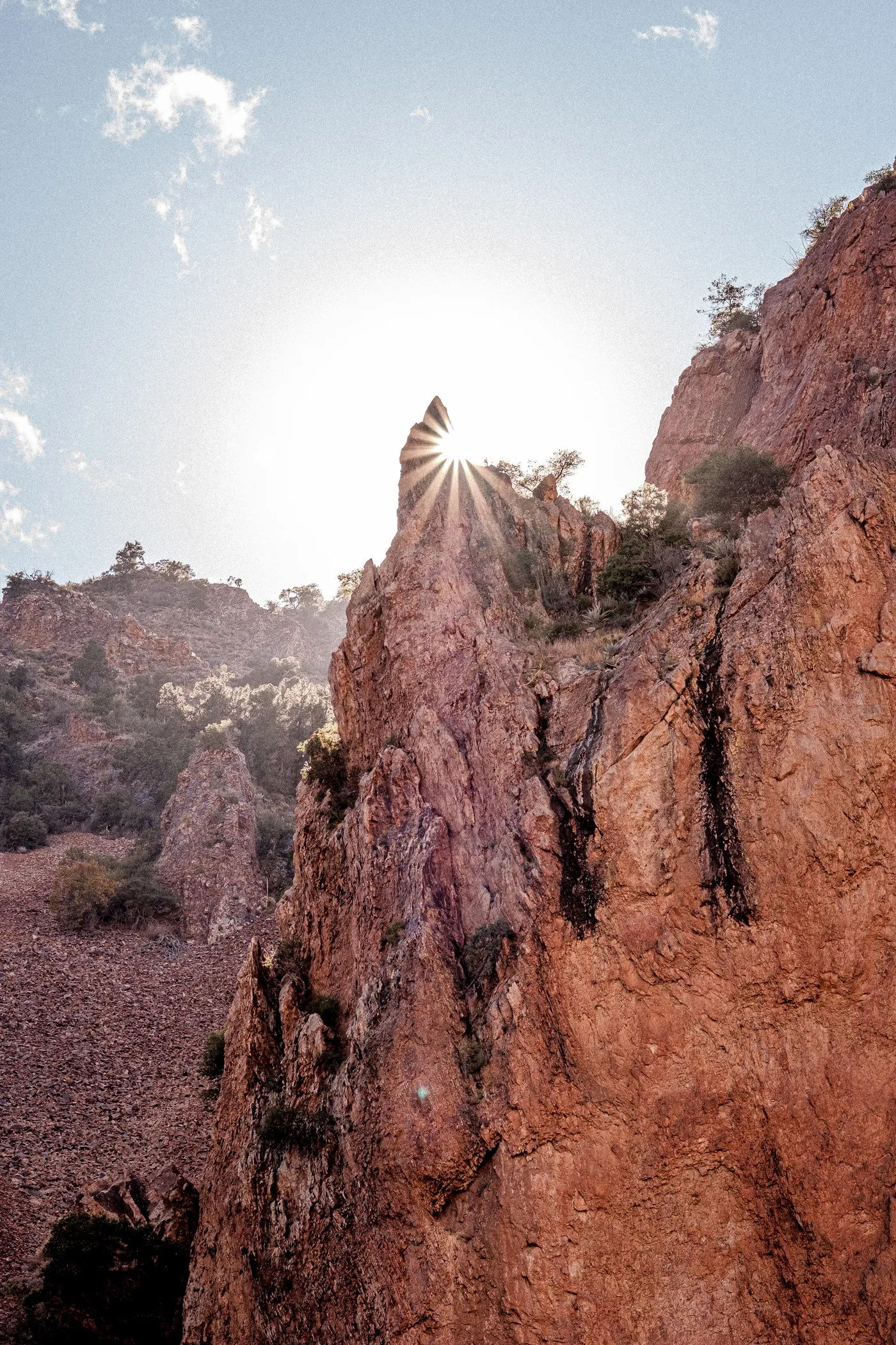 Terlingua