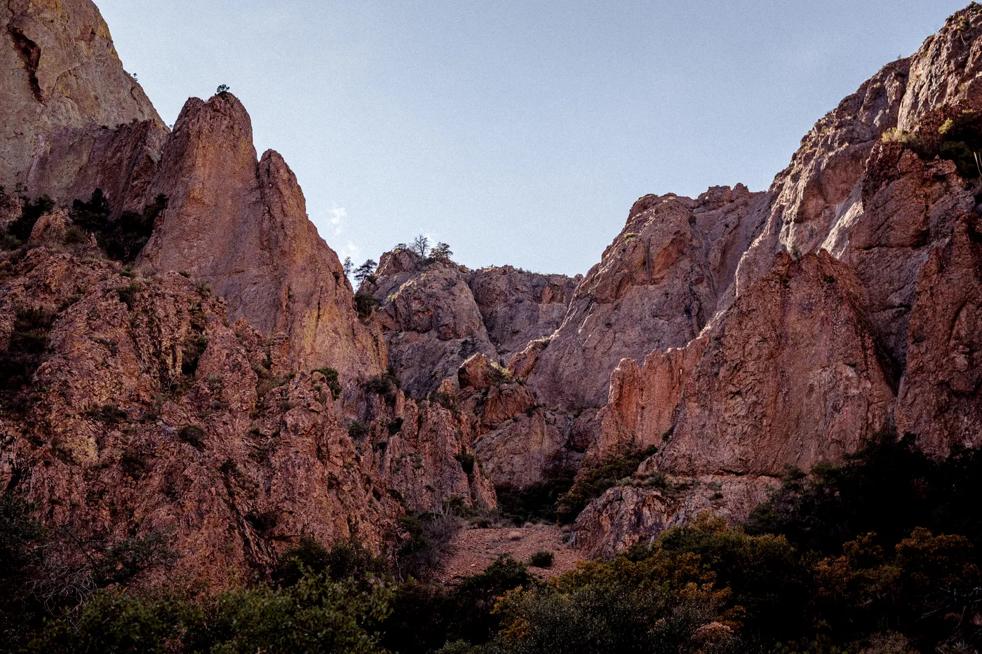 Terlingua