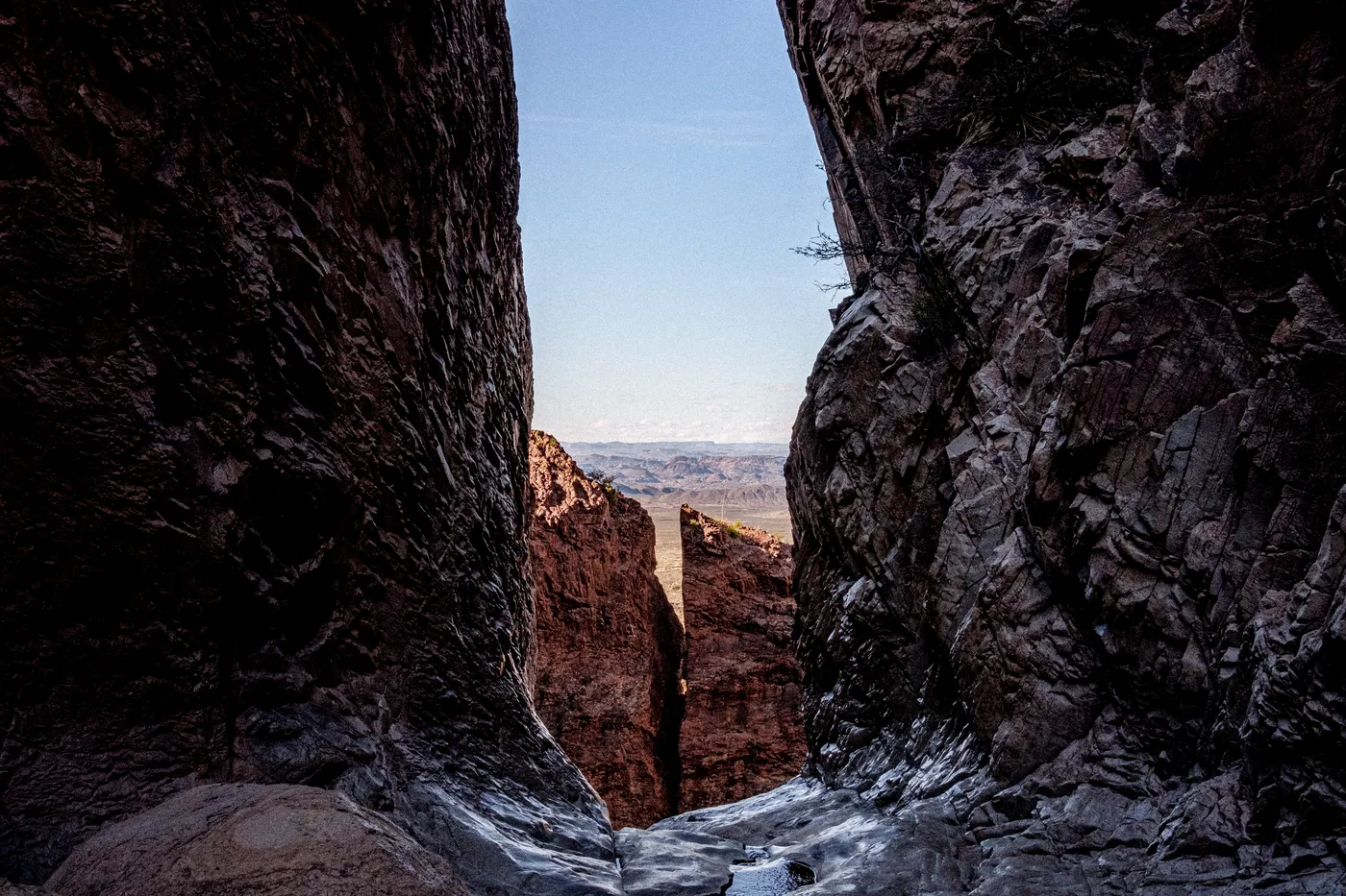 Terlingua