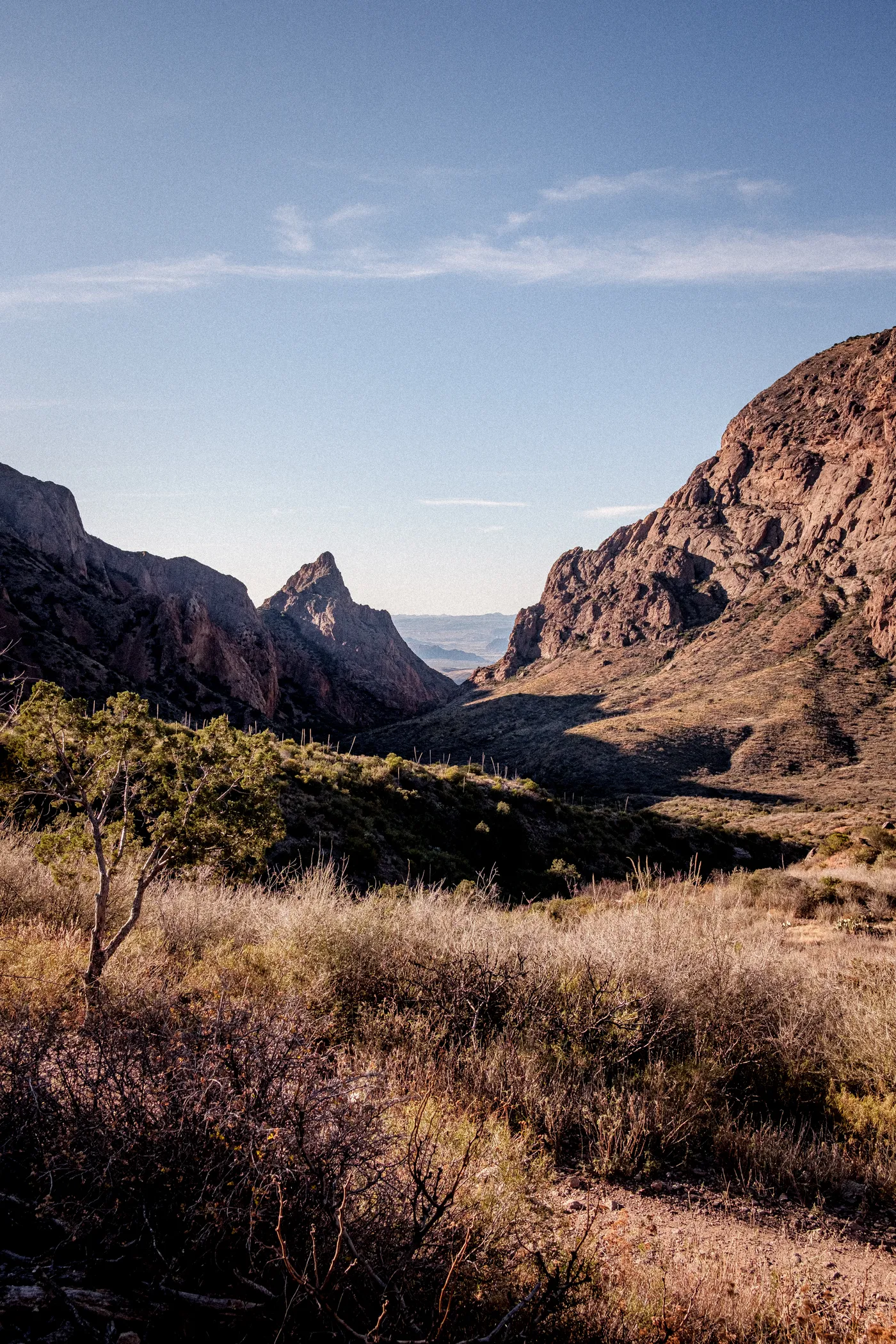 Terlingua