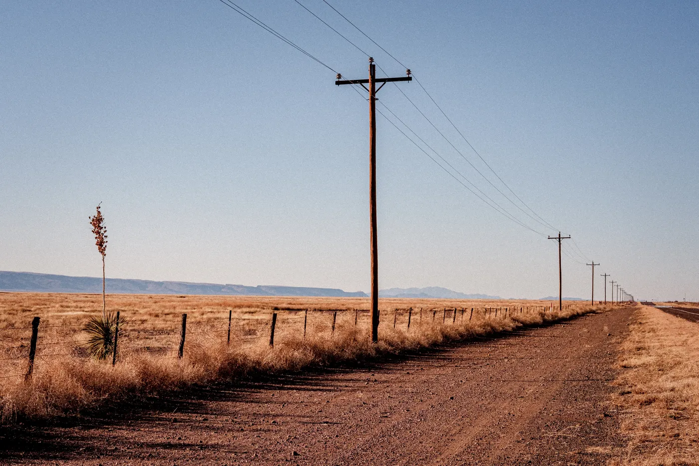 Terlingua