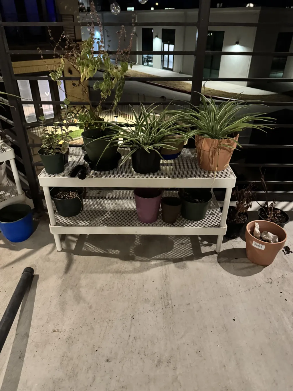 Photo 2 of IKEA Mackapär shoe rack